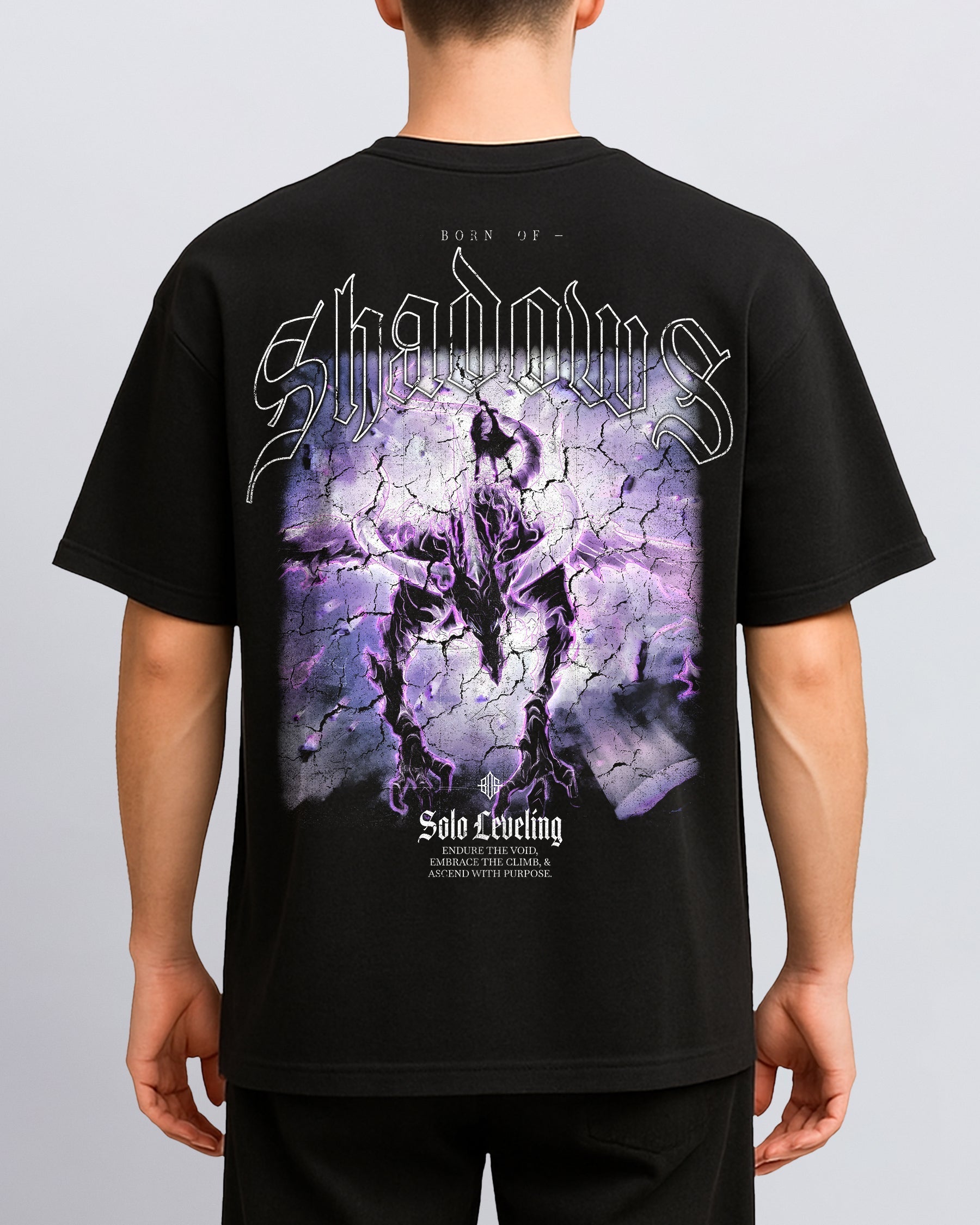 Solo Leveling 'Kaisel' T-Shirt ODMPOD